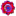 Fiore Pacifico a 16x16 pixel