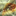 Tessuto Infetto a 16x16 pixel
