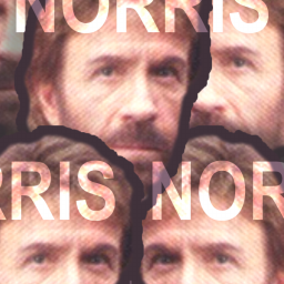 Chuck Norris a 256x256 pixel