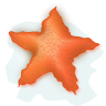 Stella Marina Rossa a 96x96 pixel