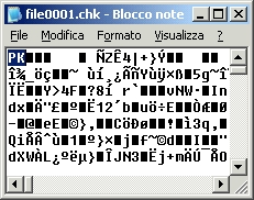 Esempio di un file CHK, in realt ZIP come si capisce dalla sigla PK